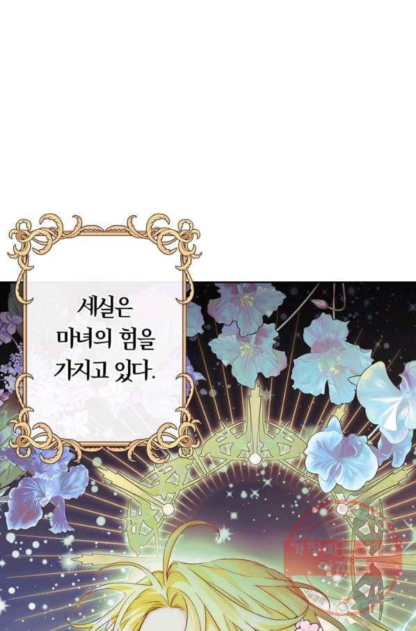 폭군에게는 악녀가 어울린다 78화 36