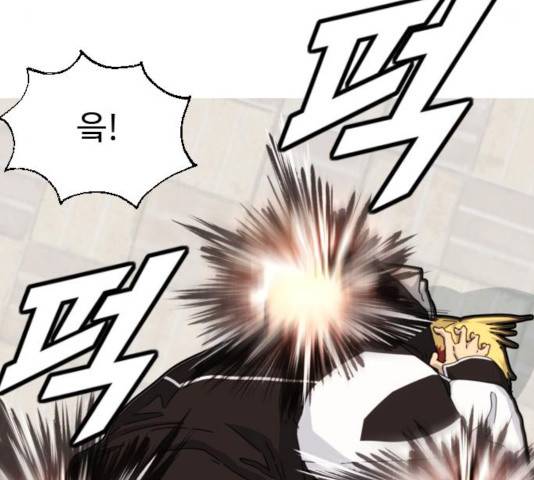 폭탄주먹 변대장 13화 19