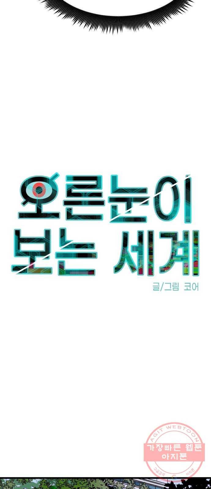 오른눈이 보는 세계 47화 13