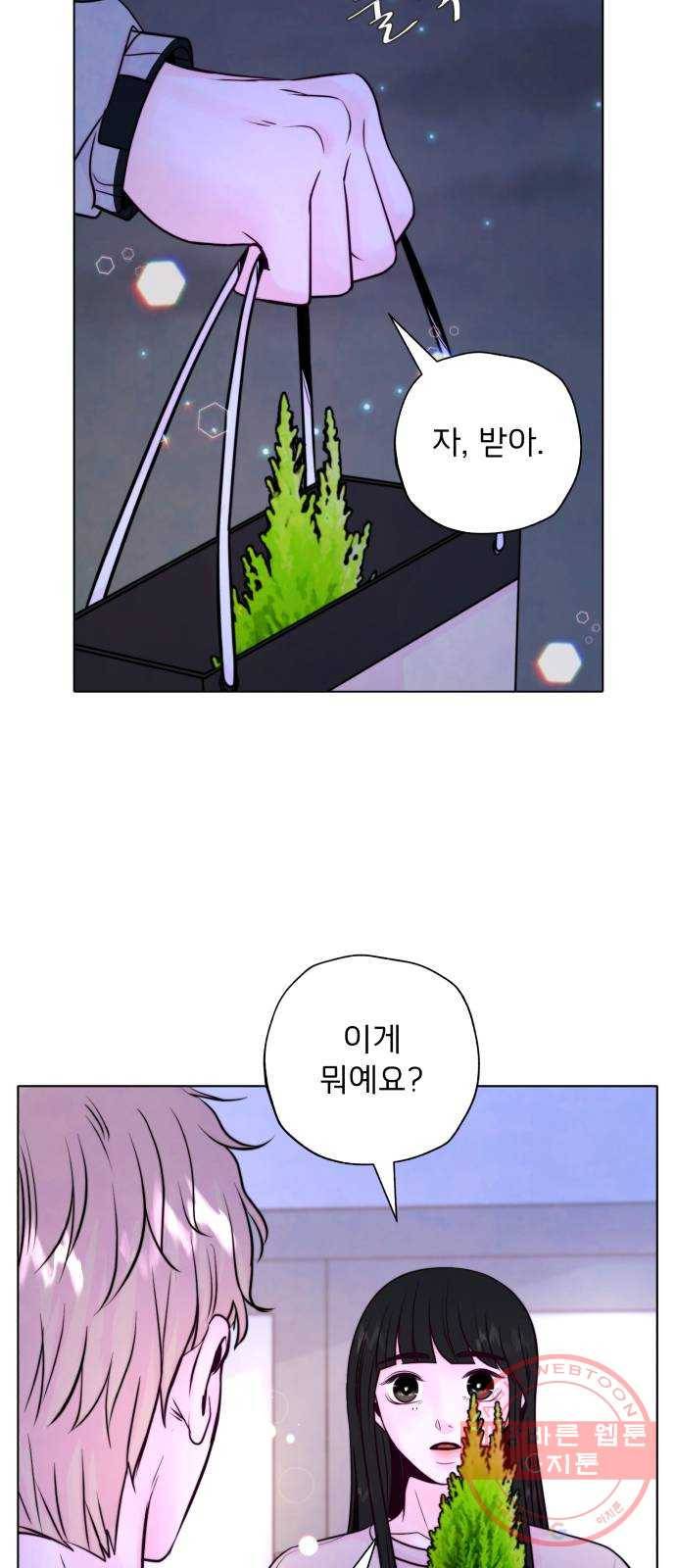 취향 소개소 11. 오다 주웠다, 율마 7