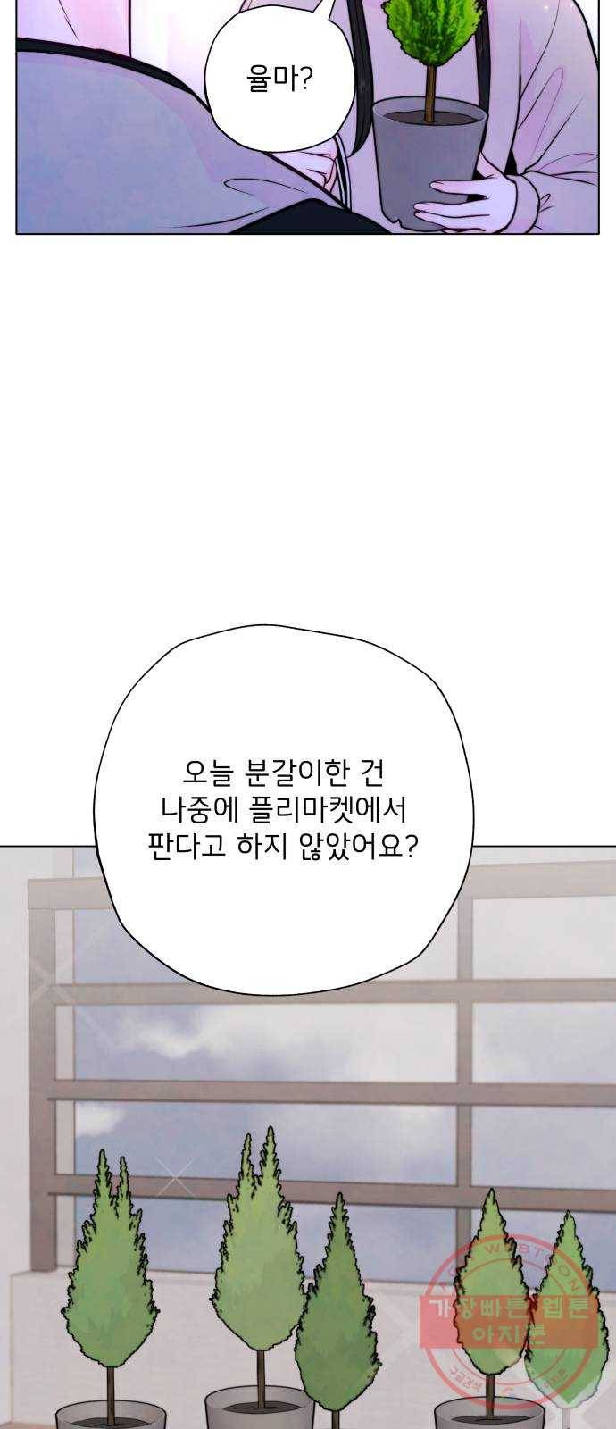 취향 소개소 11. 오다 주웠다, 율마 8