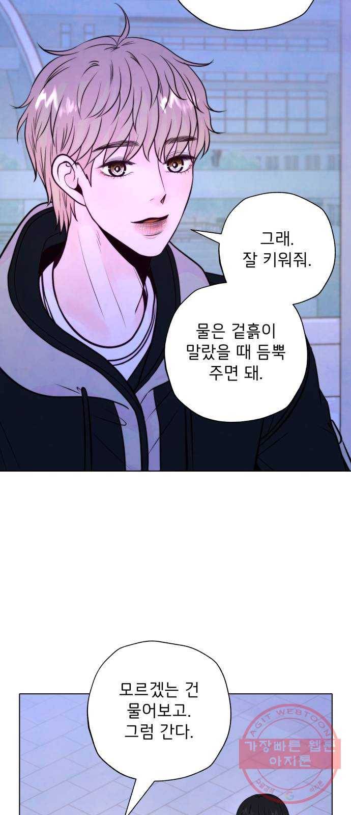 취향 소개소 11. 오다 주웠다, 율마 13