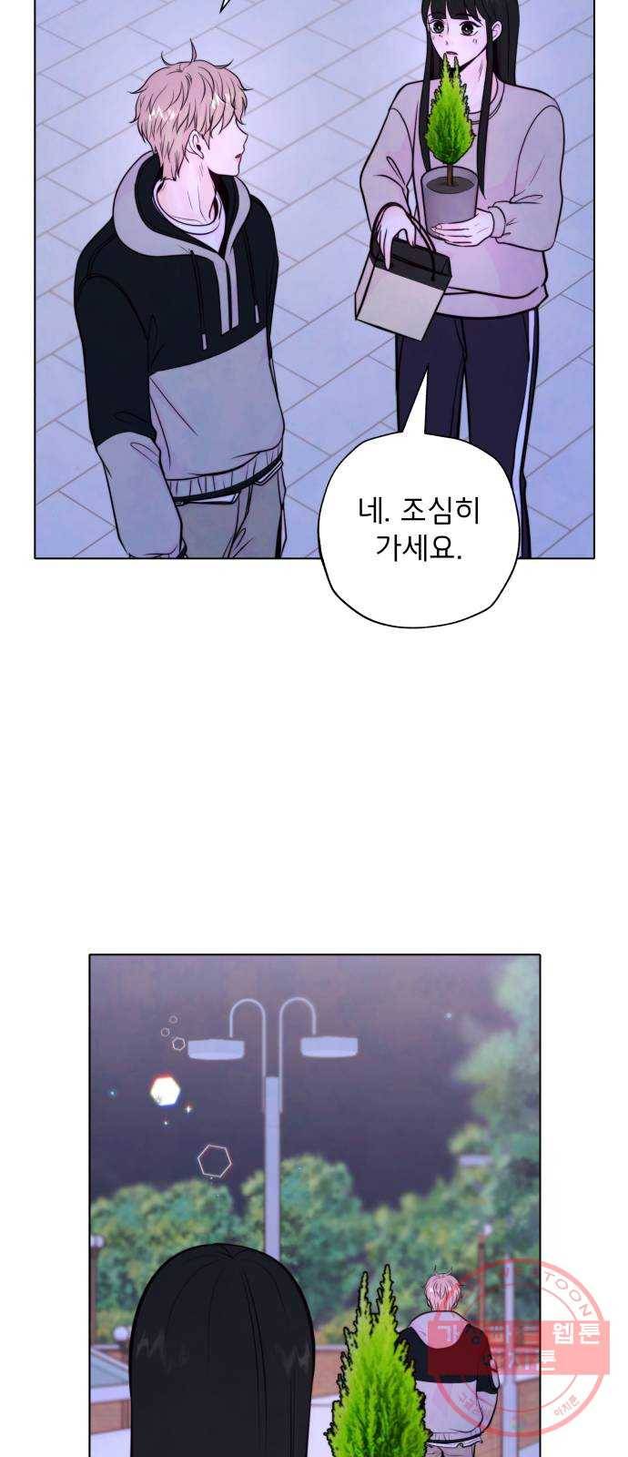 취향 소개소 11. 오다 주웠다, 율마 14