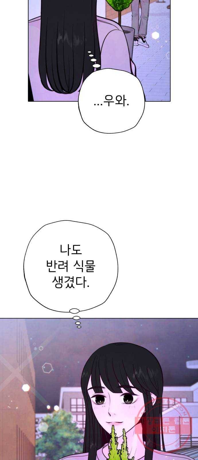 취향 소개소 11. 오다 주웠다, 율마 15