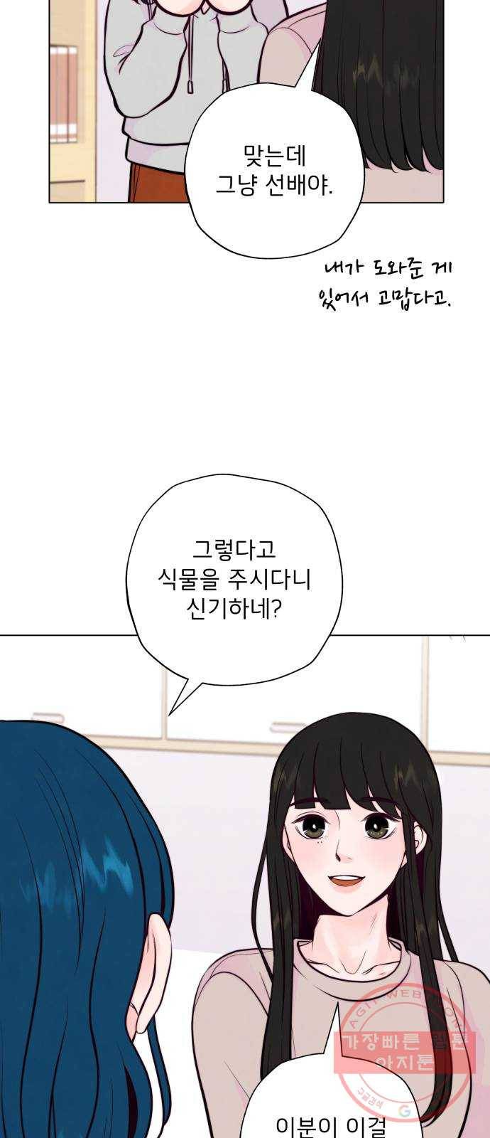 취향 소개소 11. 오다 주웠다, 율마 21