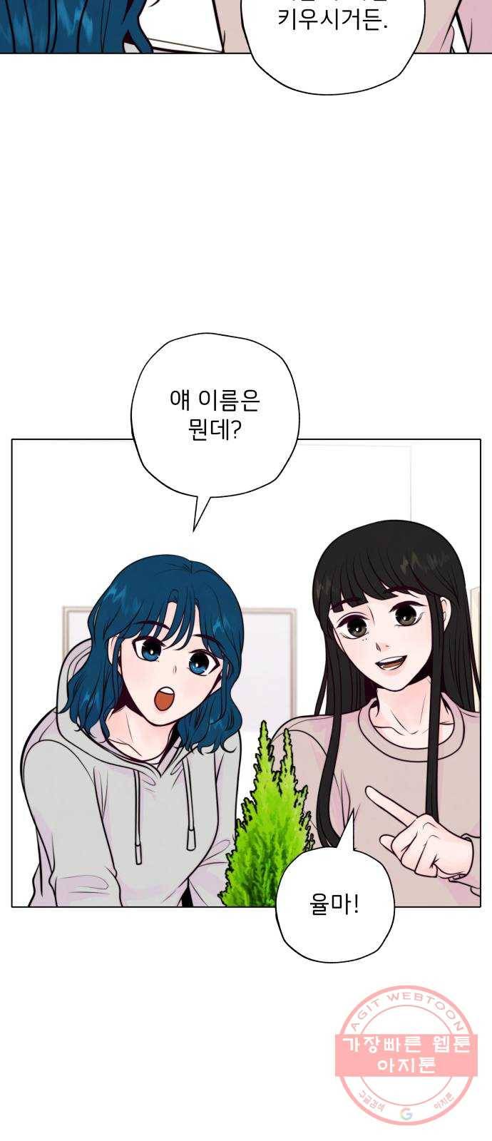 취향 소개소 11. 오다 주웠다, 율마 22