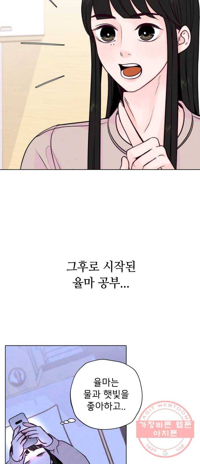 취향 소개소 11. 오다 주웠다, 율마 26