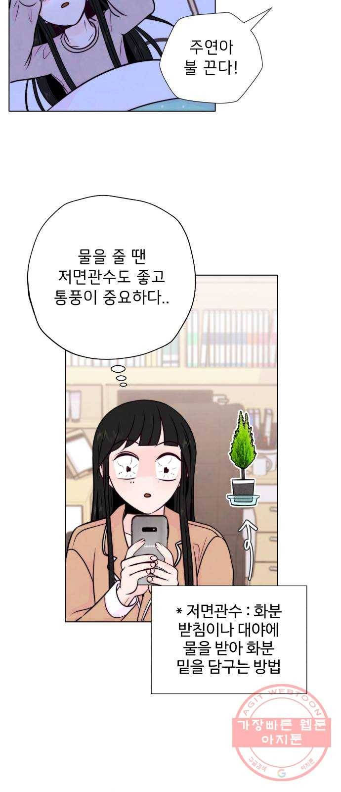 취향 소개소 11. 오다 주웠다, 율마 27