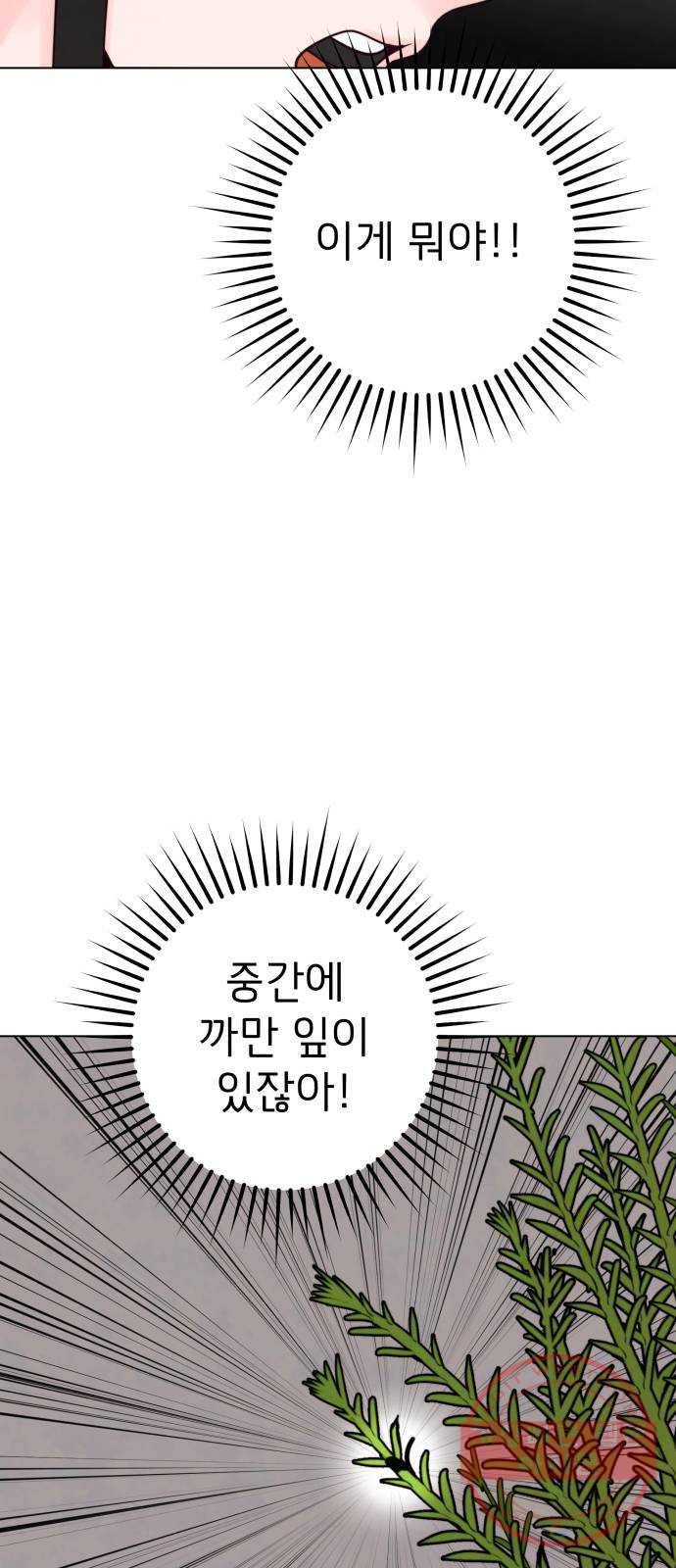 취향 소개소 11. 오다 주웠다, 율마 29