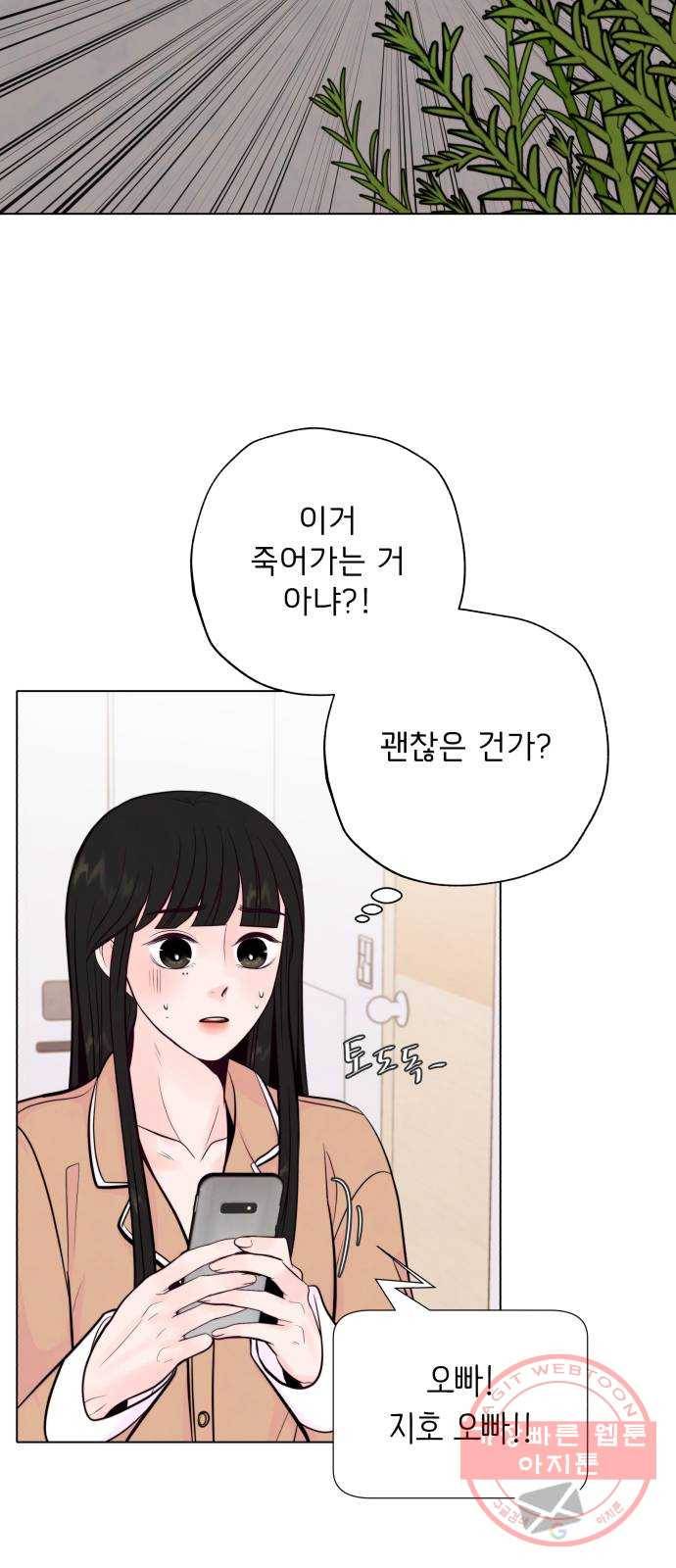 취향 소개소 11. 오다 주웠다, 율마 30