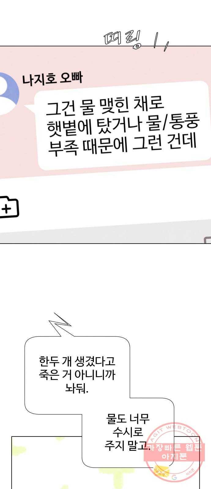 취향 소개소 11. 오다 주웠다, 율마 32