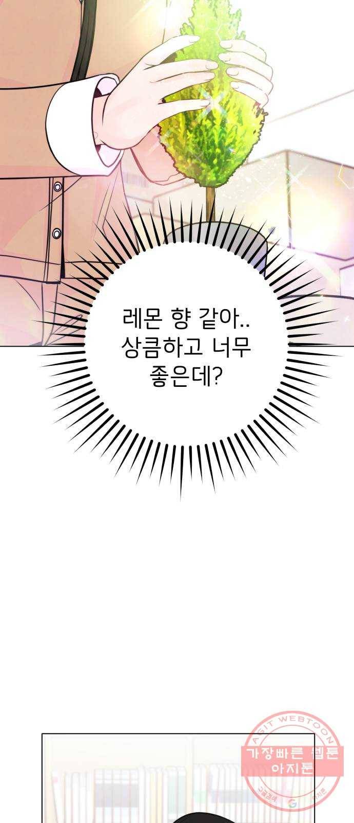 취향 소개소 11. 오다 주웠다, 율마 40