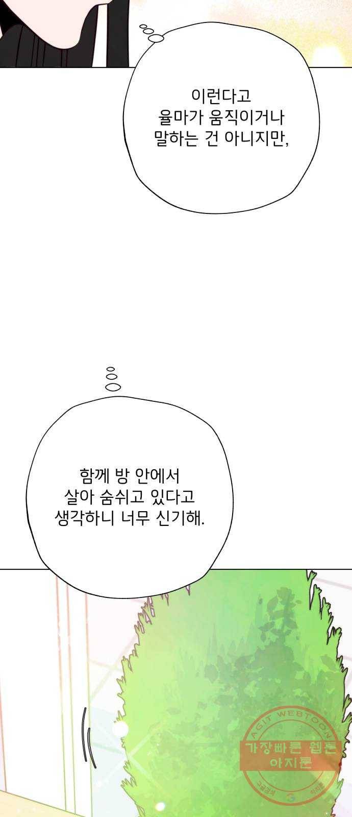 취향 소개소 11. 오다 주웠다, 율마 42