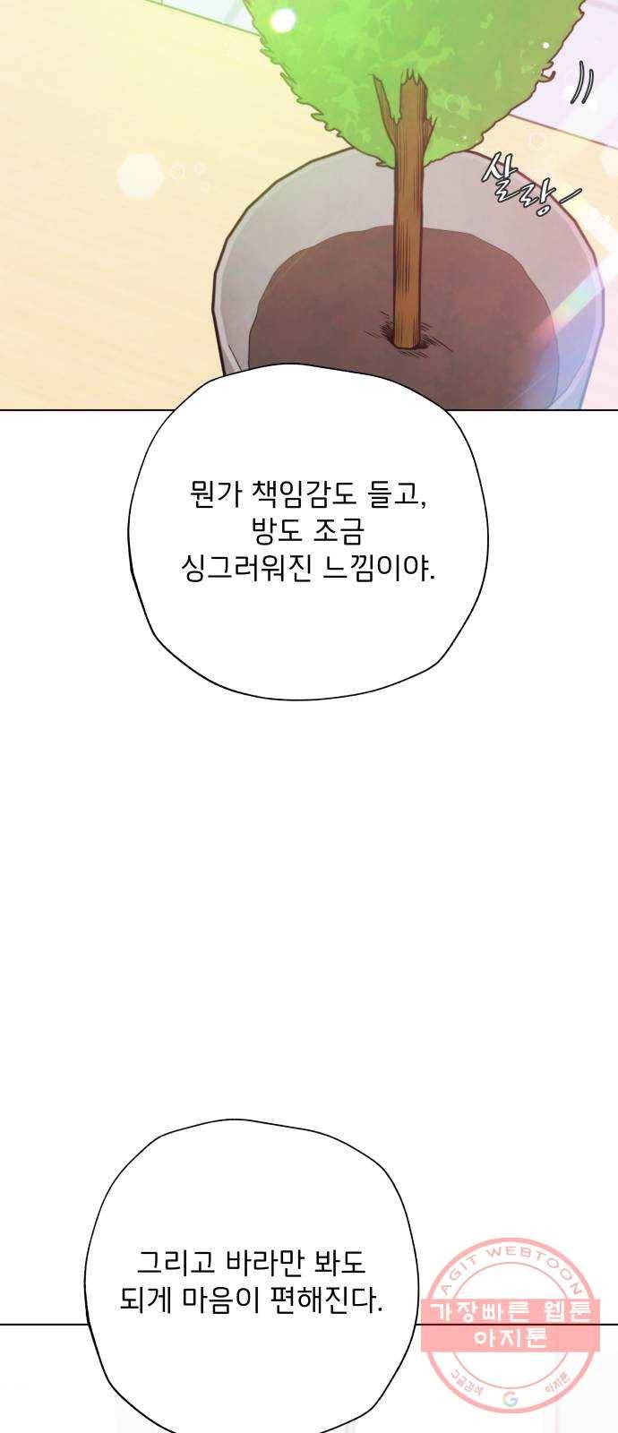 취향 소개소 11. 오다 주웠다, 율마 43