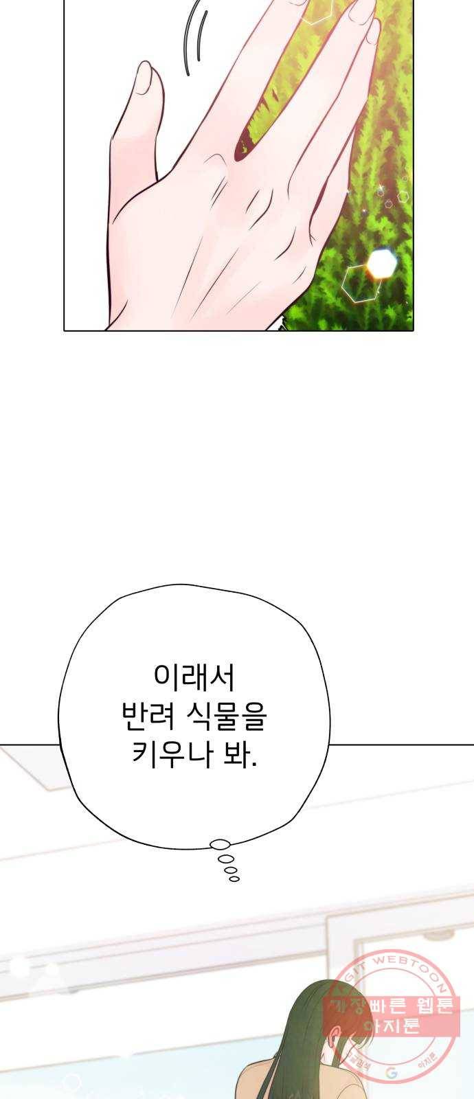 취향 소개소 11. 오다 주웠다, 율마 45
