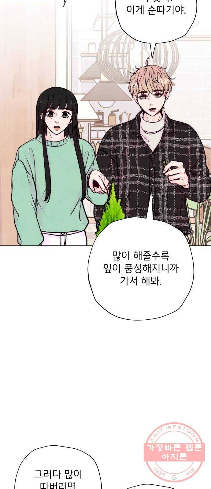 취향 소개소 11. 오다 주웠다, 율마 49