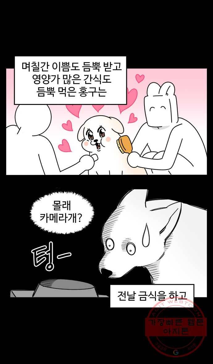 노곤하개 시즌4 89화 나이들고 아픈 것 (2) 6