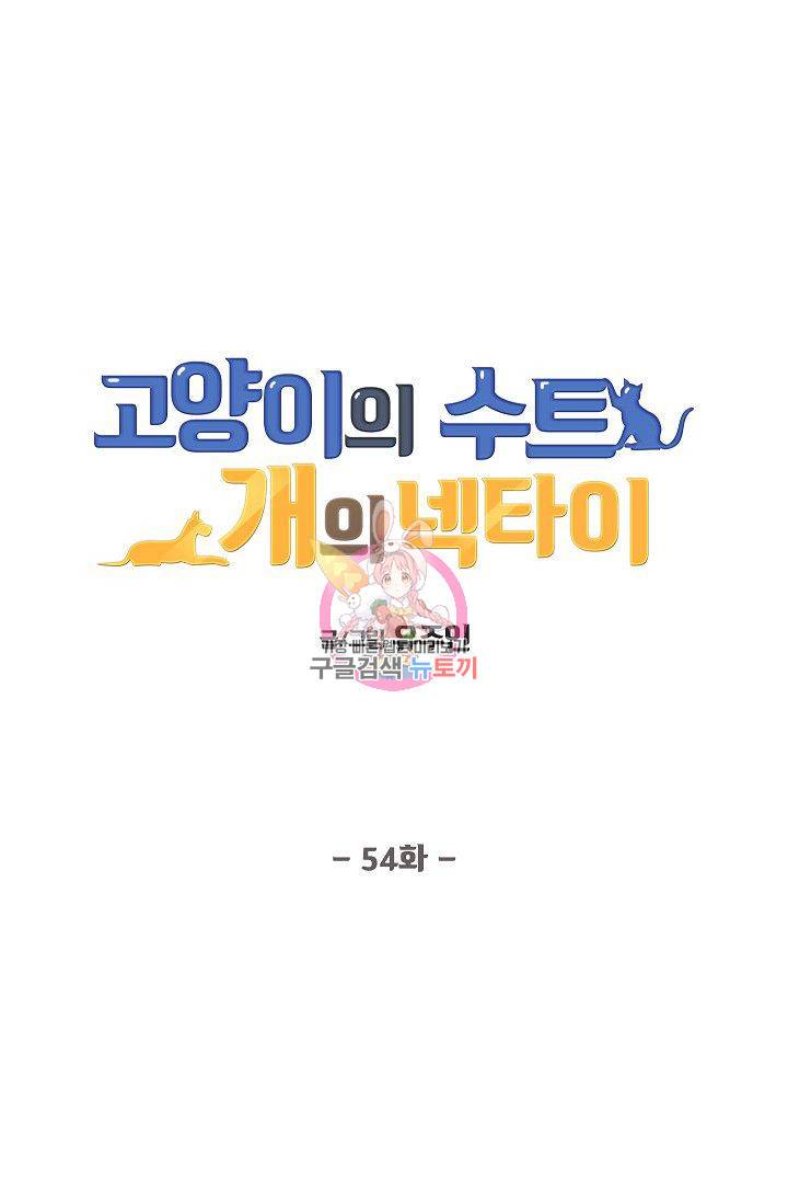 고양이의 수트 개의 넥타이 54화 1