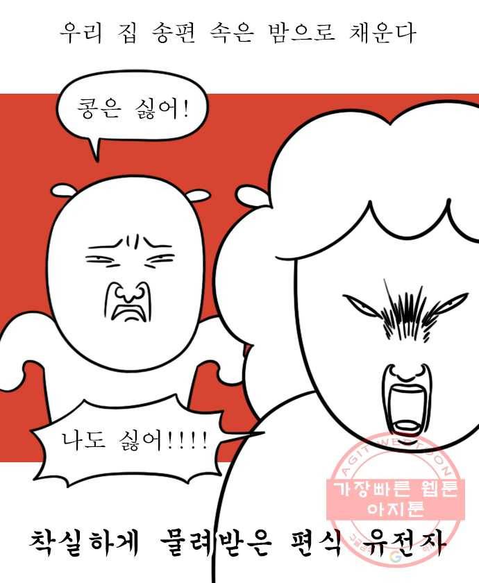 독립일기 시즌2 13화 송편 빚기 9