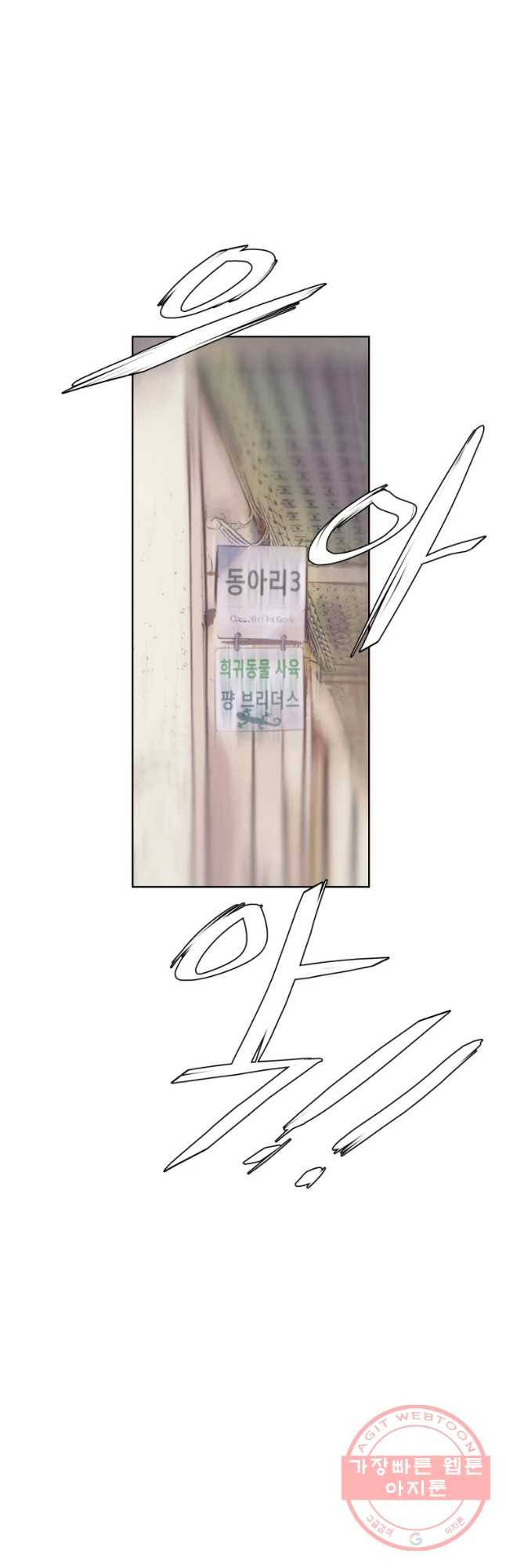 케어시트 3화 능력 14