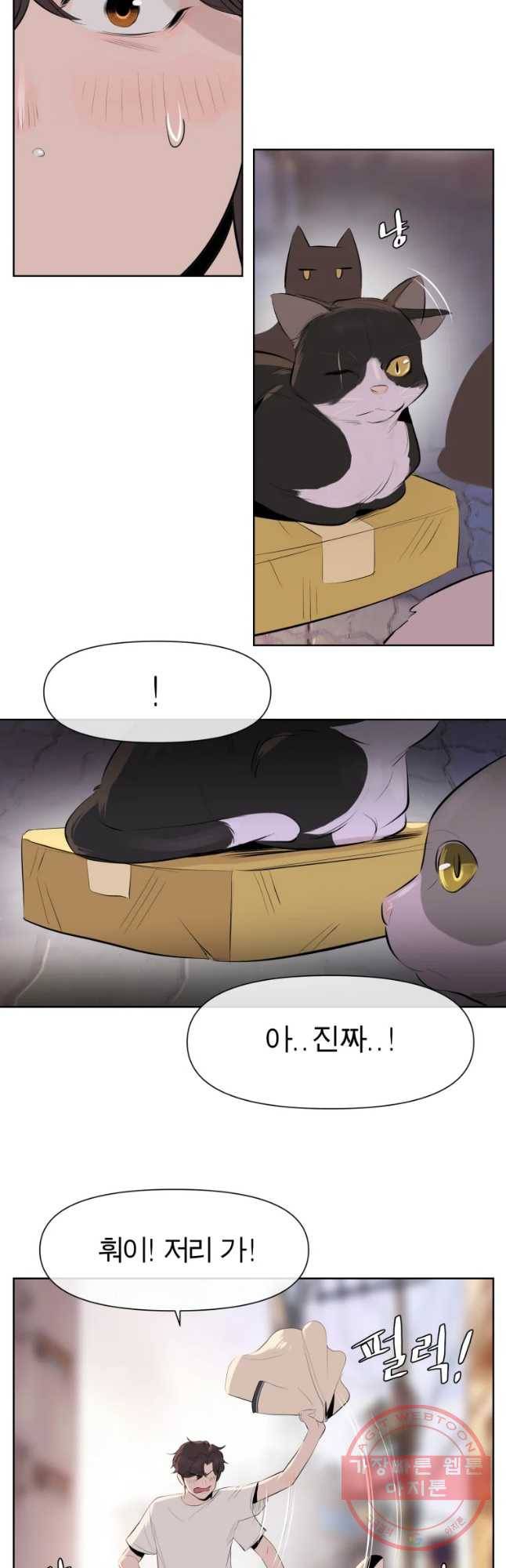 케어시트 3화 능력 33