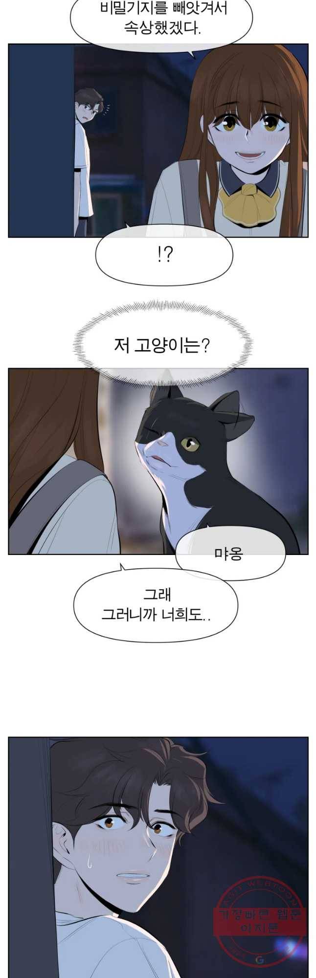 케어시트 3화 능력 44