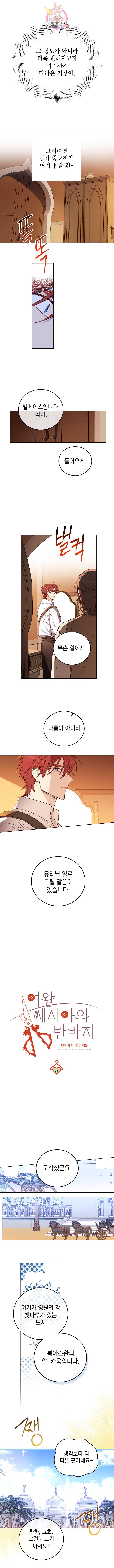 여왕 쎄시아의 반바지 72화 2