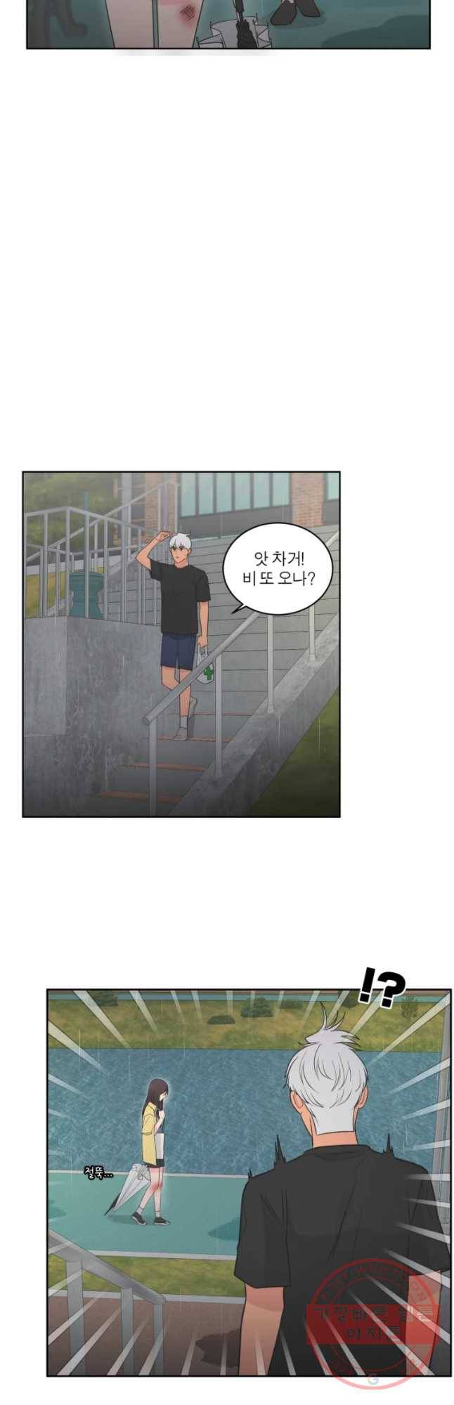 그녀의 앵무새 67화 삼자대면 51