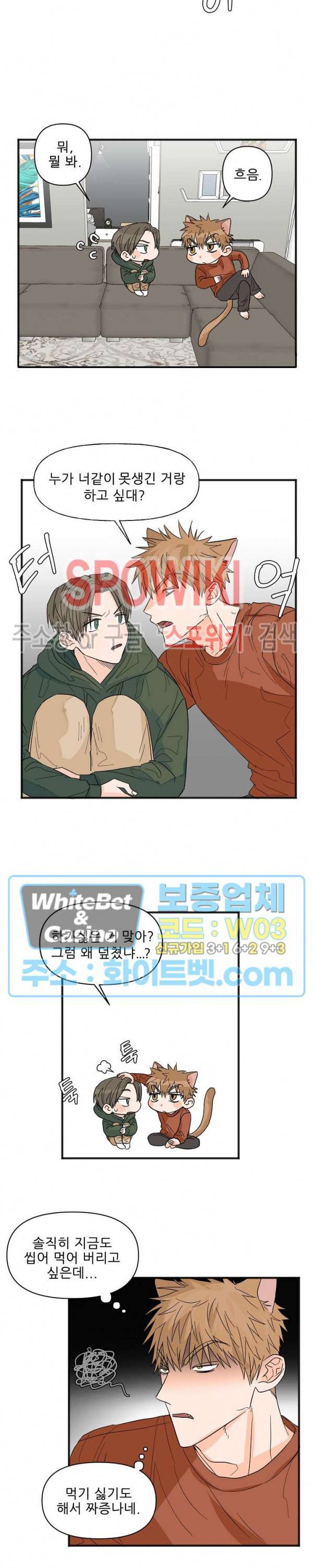 행운은 고양이로부터 12화 8