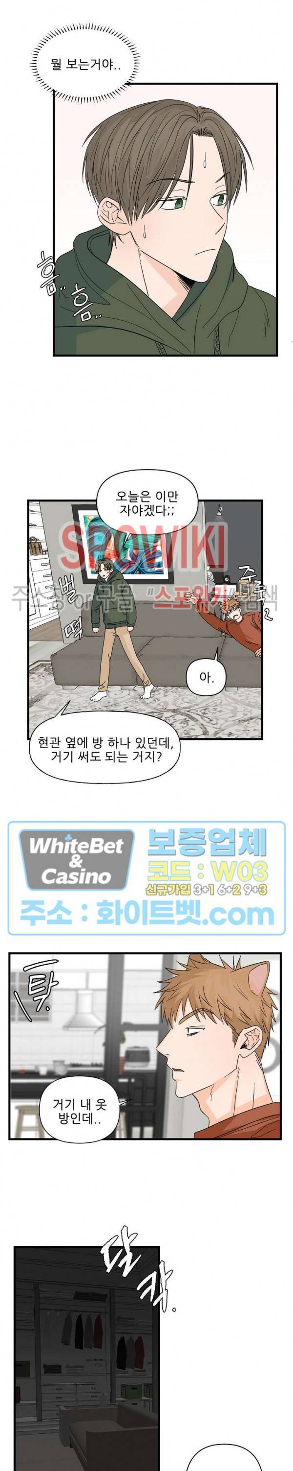 행운은 고양이로부터 12화 9