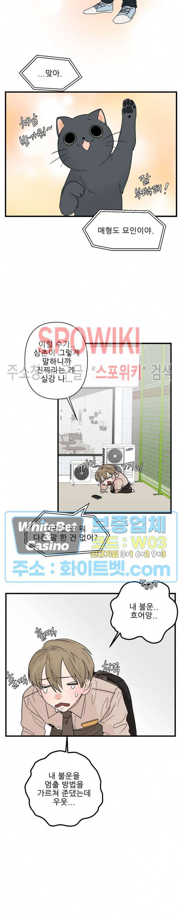행운은 고양이로부터 12화 16
