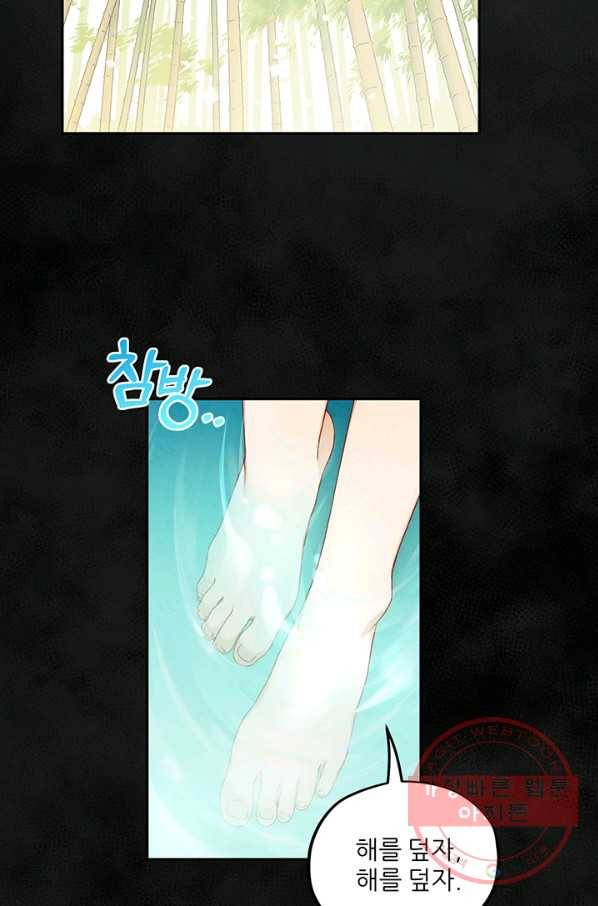 태양의 주인 59화 70