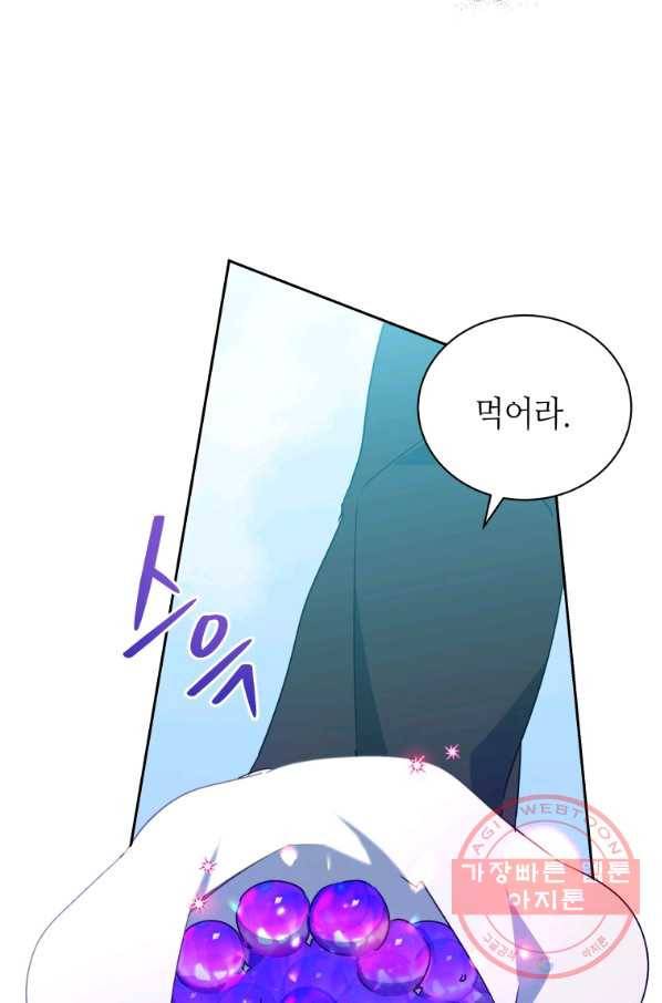 순백의 엘리사벳 37화 15
