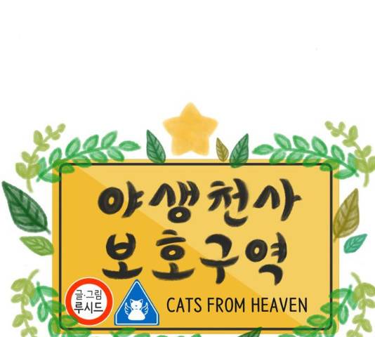 야생천사 보호구역 37화 13