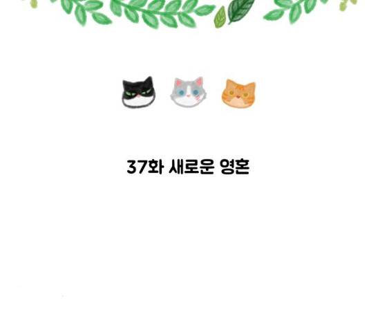 야생천사 보호구역 37화 14