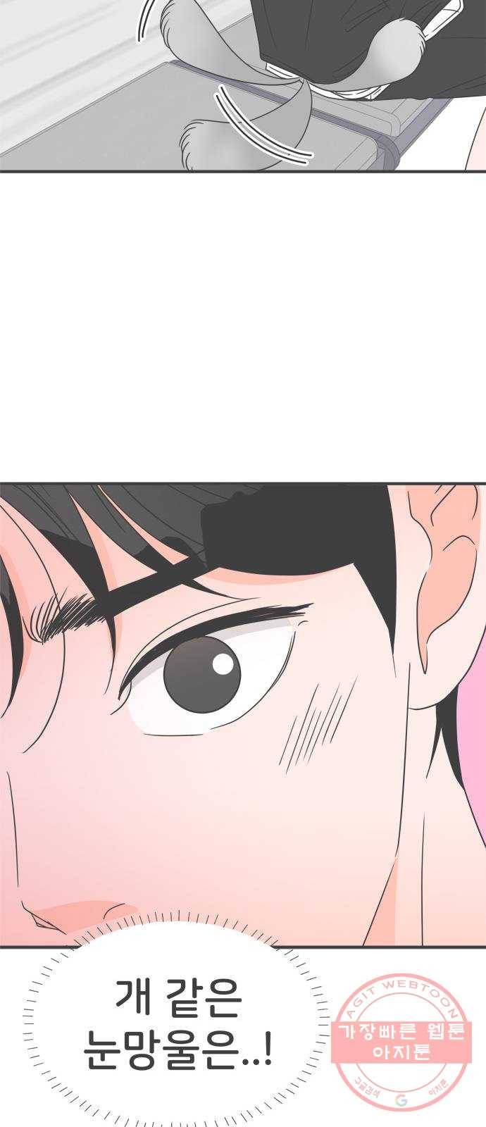 풋내기들 43화_꼬리를 살랑살랑 51