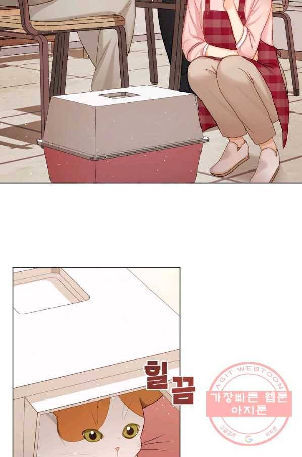 우리집 고양이는 베지테리언 지독한 하루 2