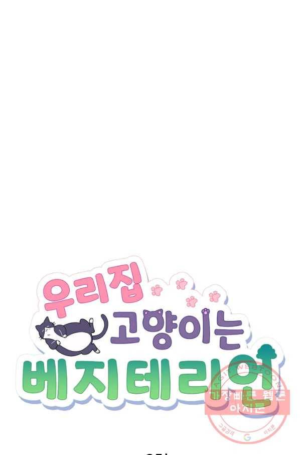 우리집 고양이는 베지테리언 지독한 하루 6