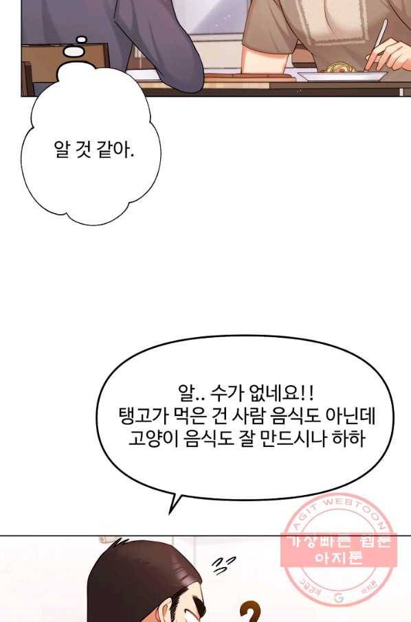 우리집 고양이는 베지테리언 지독한 하루 14