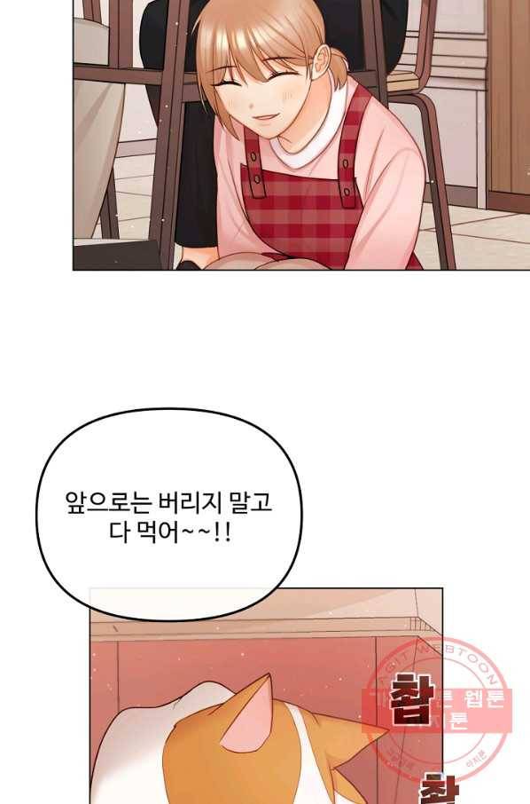 우리집 고양이는 베지테리언 지독한 하루 18