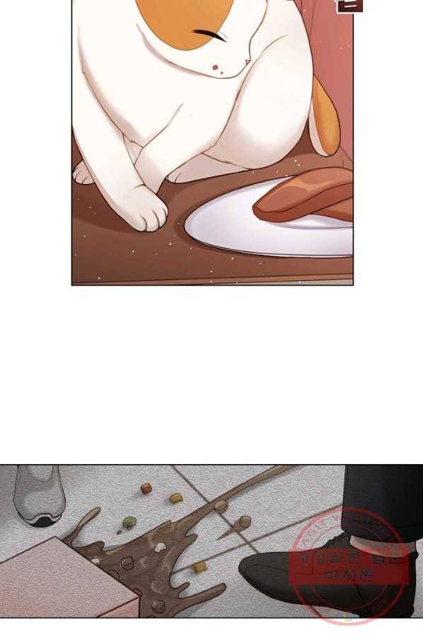 우리집 고양이는 베지테리언 지독한 하루 19