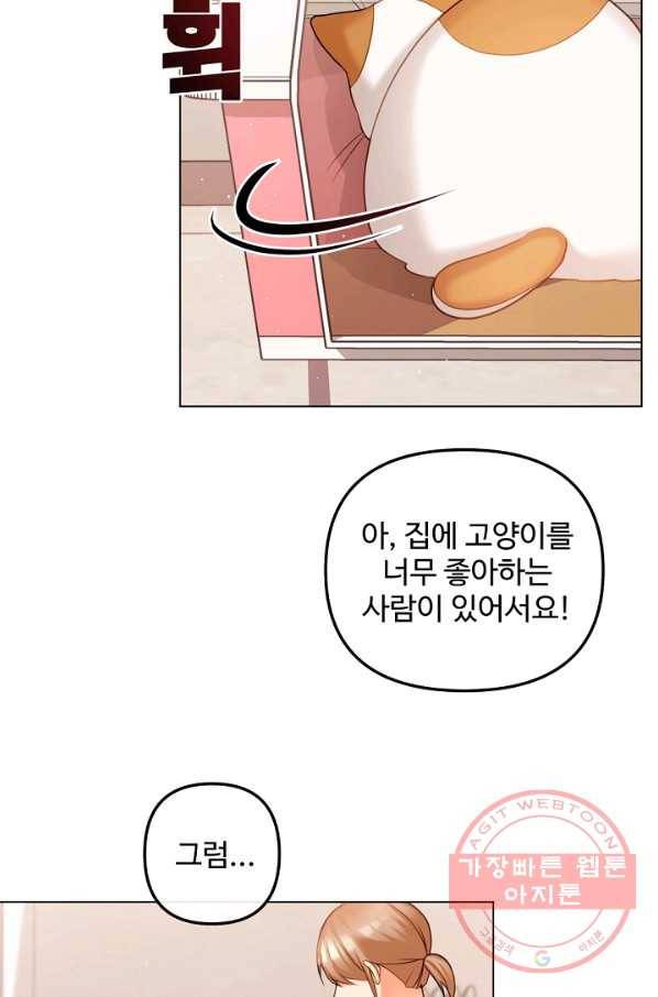 우리집 고양이는 베지테리언 지독한 하루 31