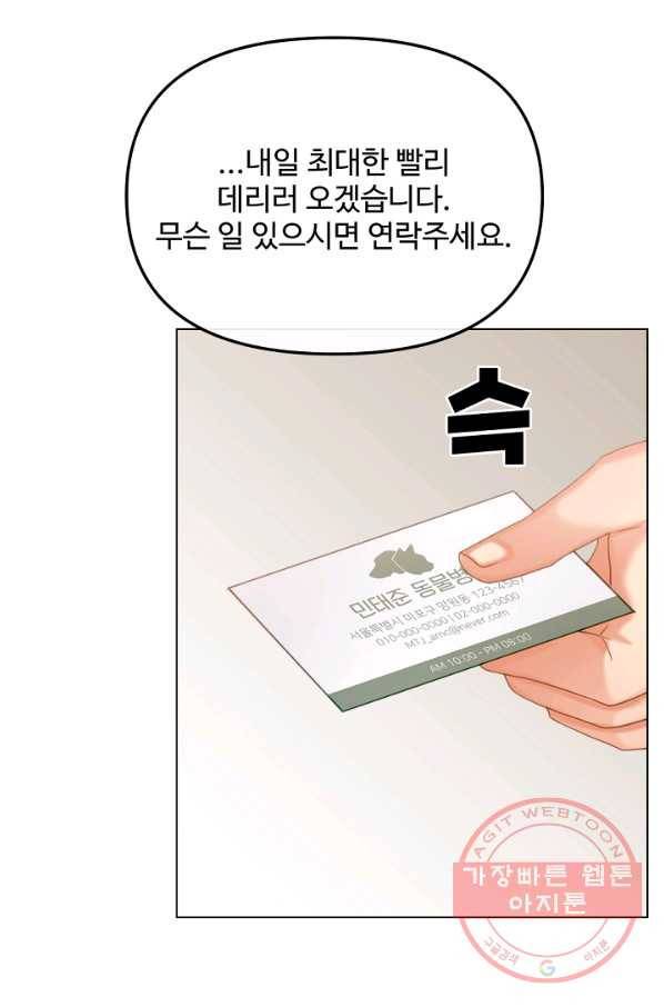 우리집 고양이는 베지테리언 지독한 하루 33