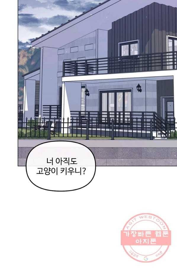 우리집 고양이는 베지테리언 지독한 하루 36