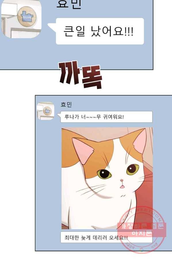 우리집 고양이는 베지테리언 지독한 하루 66