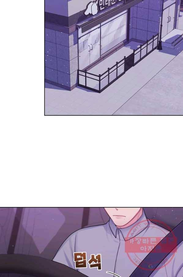 우리집 고양이는 베지테리언 지독한 하루 73