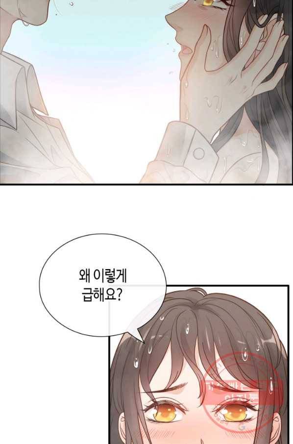 속도위반 대표님과 계약 아내 371화 5