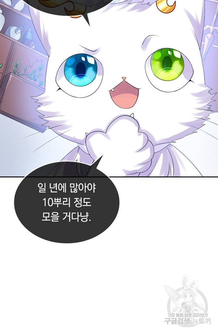이세계의 지존 플레이어 80화 40