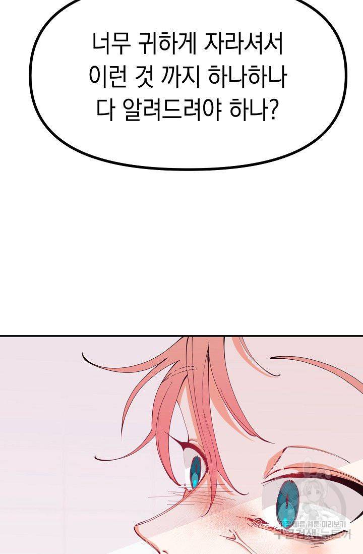 이 소설이 끝나기 전에 15화 17