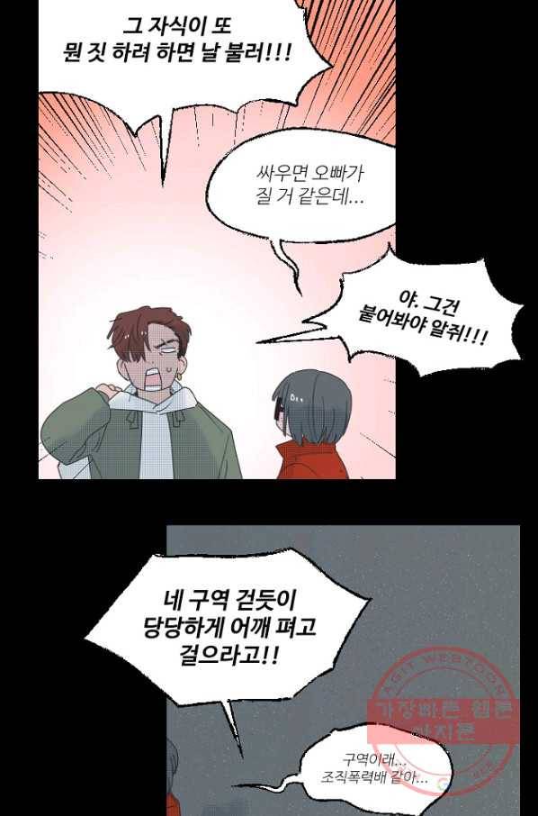 비타민C 비타민D 50화 4